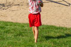 x_P2260385-Verbessert-RR