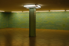 x_P2130402-Verbessert-RR