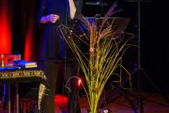 x_P2150638-Verbessert-RR